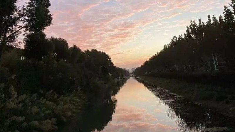 商标转让，合规之路上的关键选择